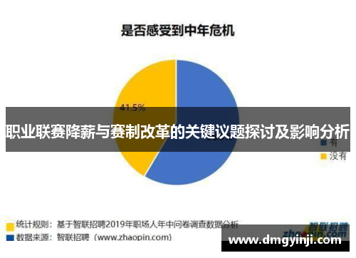 职业联赛降薪与赛制改革的关键议题探讨及影响分析